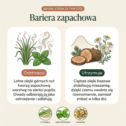 FurAndSkin™ Zawieszka dla psa przeciw pchłom i kleszczom na 3 miesiące – CedraGuard™ Naturalny Kompleks Olejków Eterycznych