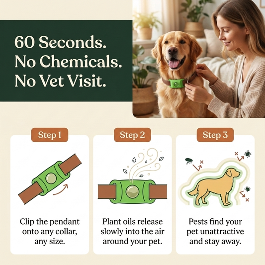 FurAndSkin™ 3-Month Flea & Tick Pendant for Dogs — CedraGuard™ Natural Essential Oil Complex