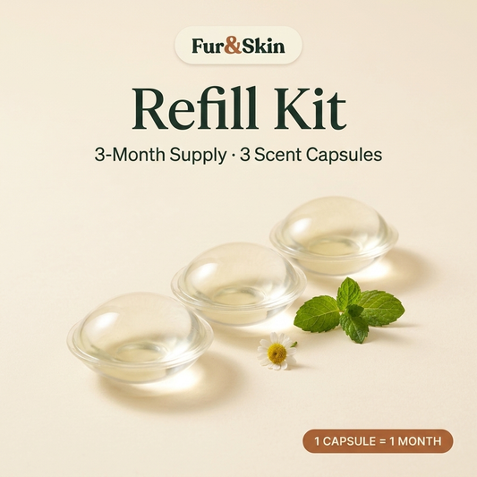 Refill Kit — 3-Month Supply (3 scent capsules)
